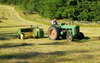 Sute de fermieri din Botoșani …