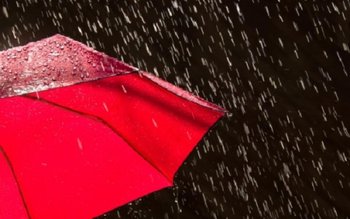 Informare meteo: Ploi și vânt …