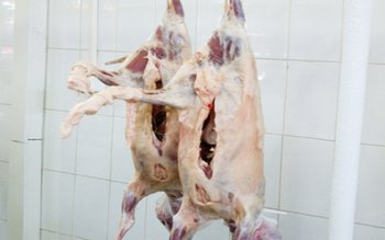 Direcția Sanitar Veterinară și pentru …