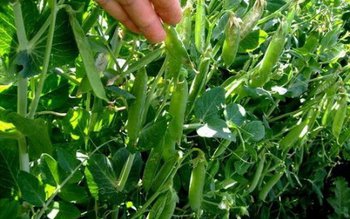 AJOFM: 50 de locuri de …