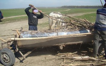 Mii de pachete de ţigări …