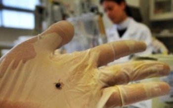 Începe invazia căpușelor și țânțarilor! …