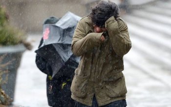 Cod galben de ninsori și …