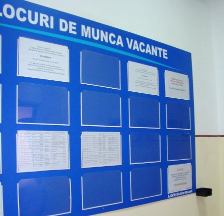 Peste 90 de locuri de muncă vacante la nivelul județului Botoșani și peste 16 mii la nivel naţional