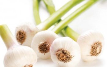 Beneficiile miraculoase ale consumului de …