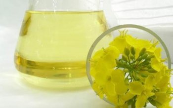 Uleiul de rapiță te ajută …