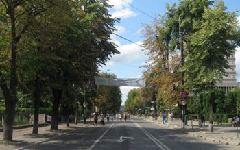 Teii din Iaşi, motiv de …