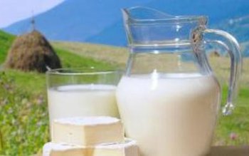 Străinii renunță la producția de …