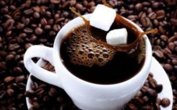 Încălzirea globală şi o bacterie …