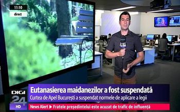 Câinii fără stăpân nu mai …