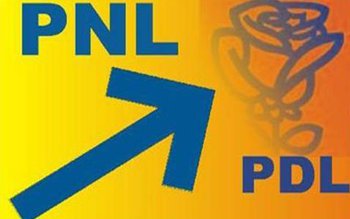 Proiectele PNL-PDL privind Statutul, finalizate …