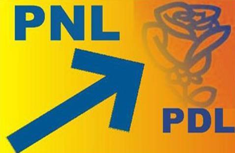Proiectele PNL-PDL privind Statutul, finalizate până pe 30 iunie