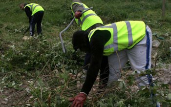 Muncă în folosul comunității prestată …