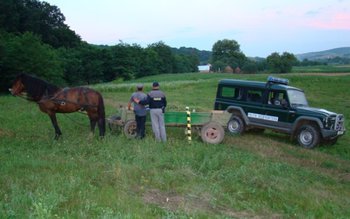 Țigarete de contrabandă transportate cu …