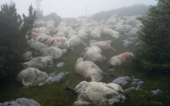 Trasee închise în Retezat. Sute …