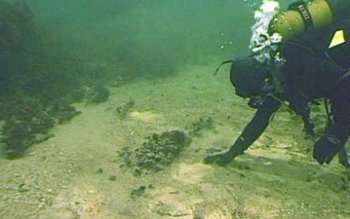 Noi descoperiri în Marea Neagră