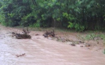 Case inundate şi oameni evacuaţi! …