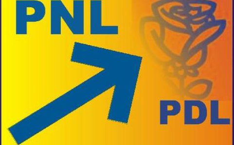 PNL …