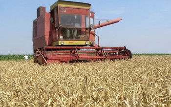 Șocant! Un bărbat a murit …