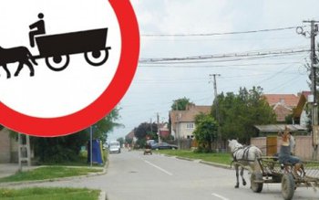 Botoșani, județul în care numărul …