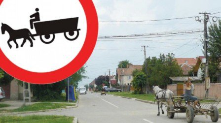Botoșani, județul în care numărul căruțelor este aproape egal cu cel al autoturismelor