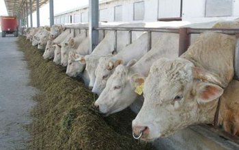 „Război comercial”: Rusia limitează importurile …