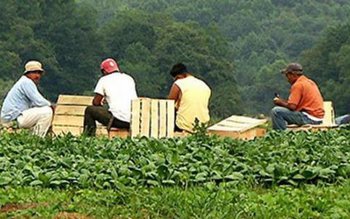 Opt persoane, inclusiv români, au …