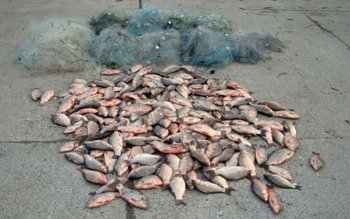 Doi bărbați depistați de jandarmi …