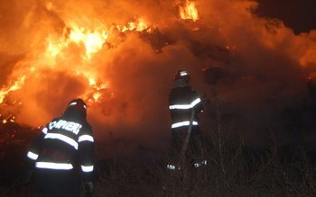 15 tone de furaje distruse …