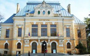 Muzeul Județean Botoțani are o …