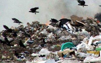 Se închid gropile de gunoi …