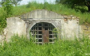 Minunile din codrii seculari ai …