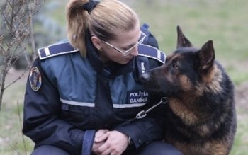 Prefectul salută înfiinţarea Poliţiei sanitar-veterinare …