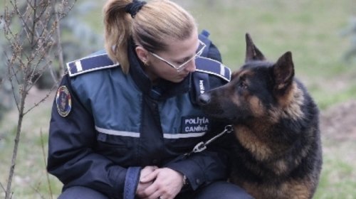 Prefectul salută înfiinţarea Poliţiei sanitar-veterinare a animalelor