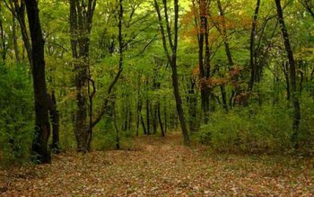 Tânăr din Dorohoi găsit spânzurat …