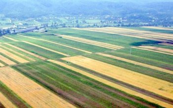 Inventarierea terenurilor realizată în proporţie …