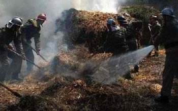 Peste 10 tone de furaje …