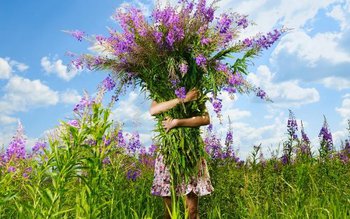 Plante antistres care-ţi apără corpul …