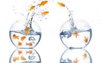 Încă un primar și doi …