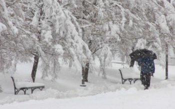 Prognoza meteo pentru iarna 2014-2015. …