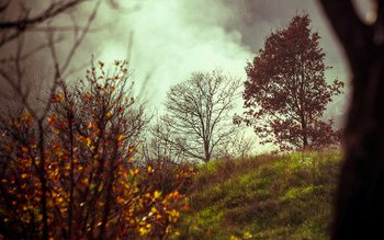 Vreme extremă în următoarele două …