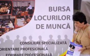 383 locuri de muncă anunţate …