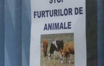 Poliția botoșăneană în campania „Săptămâna …