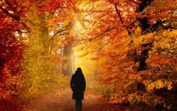 Remedii naturale împotriva asteniei de …