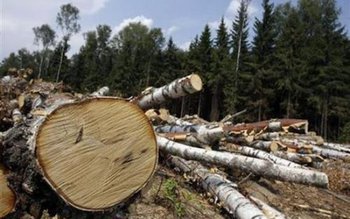 Programul „Radarul Pădurilor” - Un …