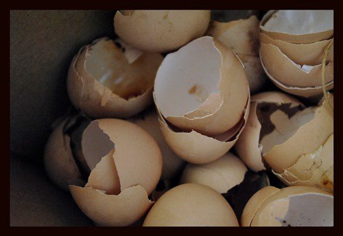 Ce nu știai despre cojile de ou. Puse într-un săculeţ în maşina de spălat...