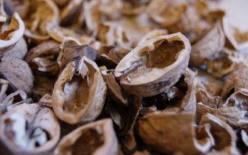 Nu arunca cojile de nuci! …