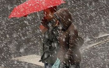 Cod Galben de răcire accentuată …