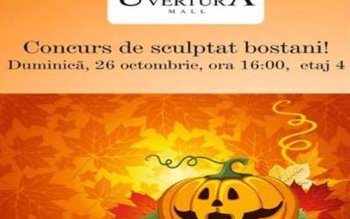 Concurs de sculptat bostani la …