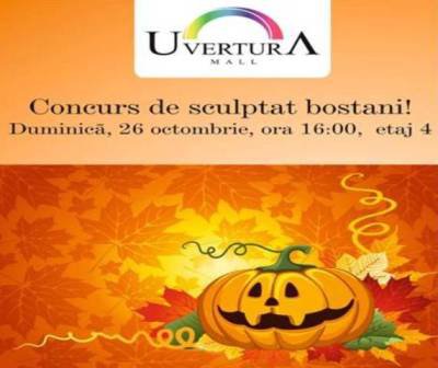 Concurs de sculptat bostani la Uvertura Mall